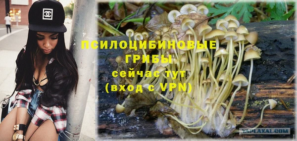 СК Горнозаводск