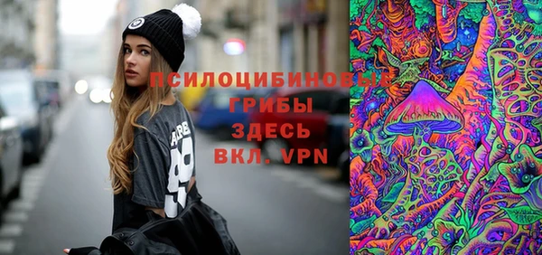 амф Горно-Алтайск
