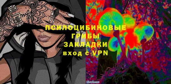 дживик Горняк