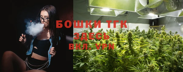 дживик Горняк