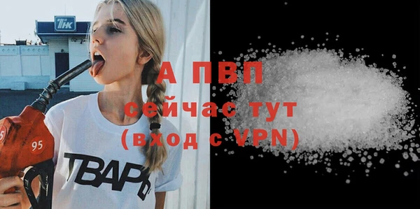 дживик Горняк